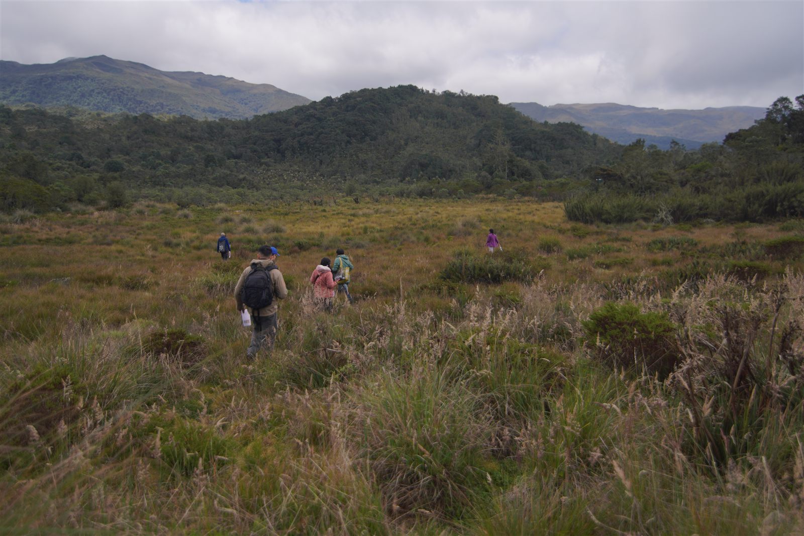 Paisaje de Choachí