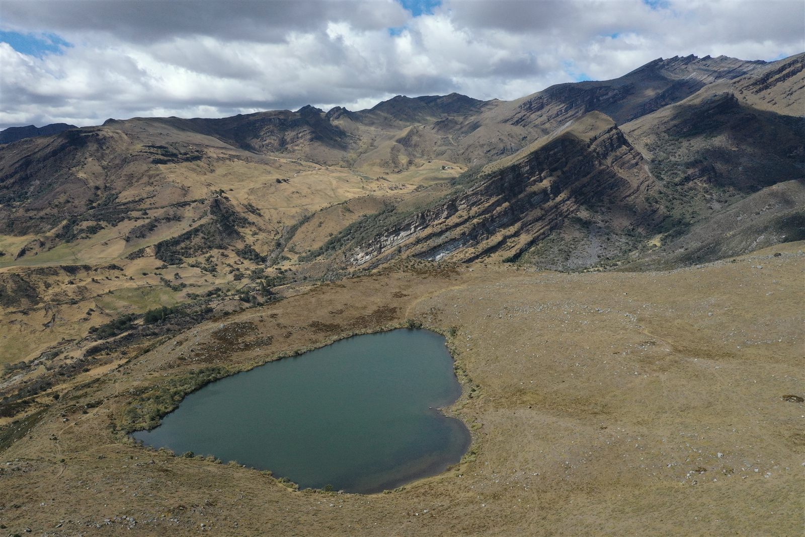 Vegetación de El Cocuy