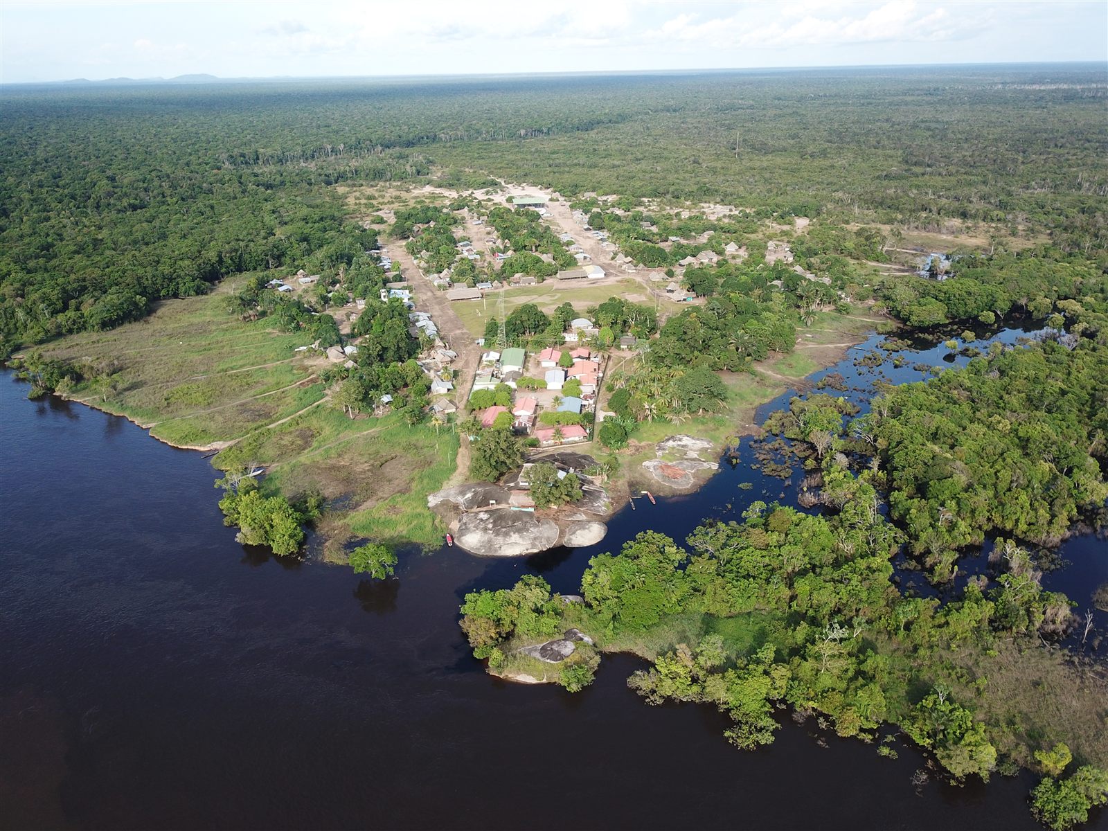 Bosque de Inírida