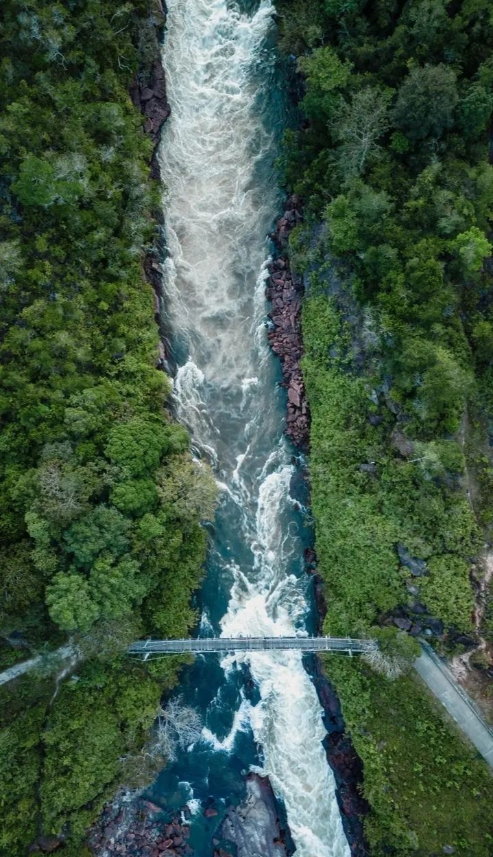Río entre la selva amazónica de La Chorrera