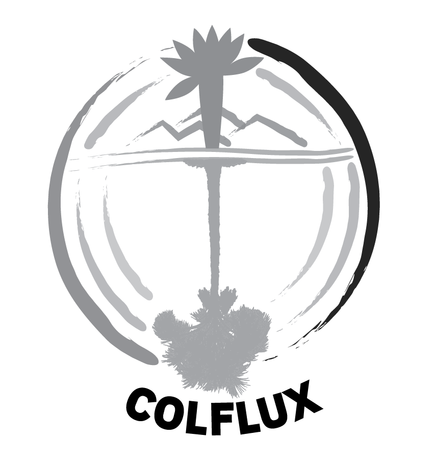 Logo escala de grises