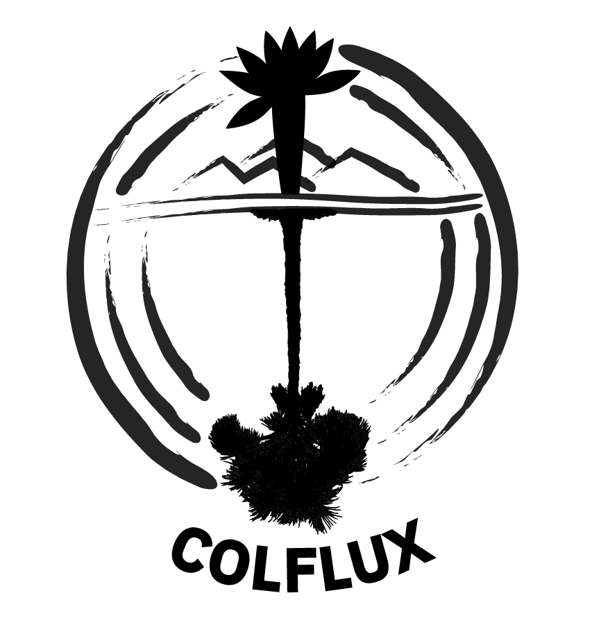 Logo negro