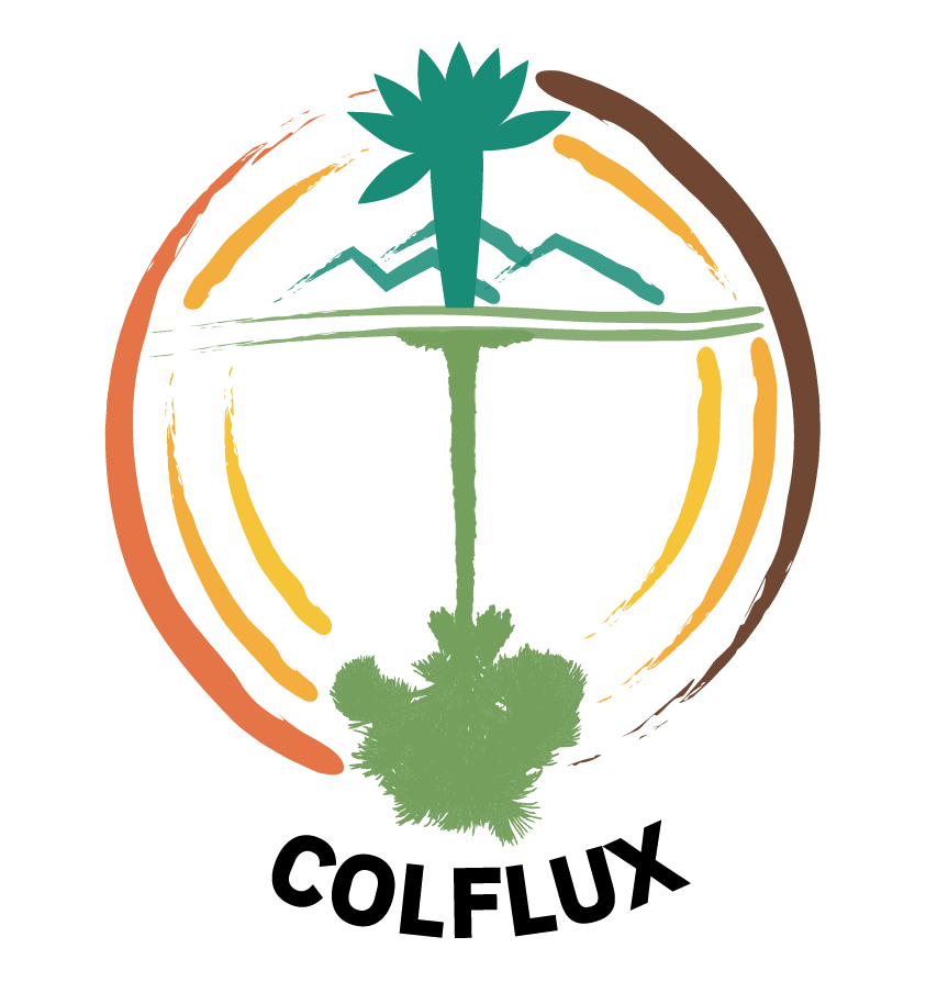 Logotipo COLFLUX